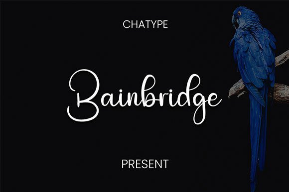 Bainbridge Font: A Beautiful Script for Creative Makers