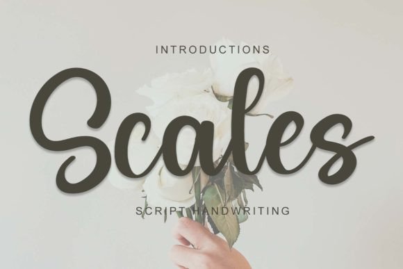 Scales: A Script Font with Subtle Elegance